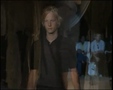 CATWALK COLLECTIONS 35