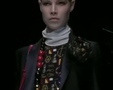 Chic - Designer Focus D&G