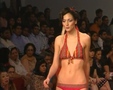 Chic - New Delhi Rina Dhaka 1008