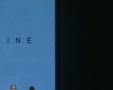 Chic - Paris Celine 0208