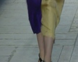 Chic - Paris Dries Van Noten 1008