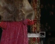 Chic - Paris John Galliano 0308