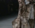 Chic - Paris Spring 2009 4