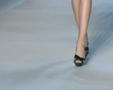 Chic - Paris Spring 2009 5