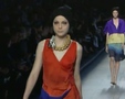Chic - Paris Spring 2009 5