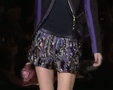 Chic - Paris Spring 2009 6