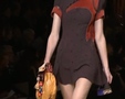 Chic - Paris Spring 2009 6