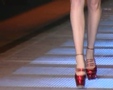 Chic - Paris Spring 2009 7