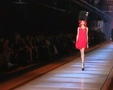 Chic - Paris Spring 2009 7