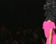 Chic - Paris Spring 2009 7