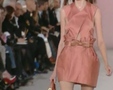 Chic - Paris Spring 2009 8