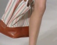 Chic - Paris Spring 2009 8