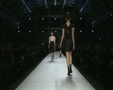 Chic - Paris Spring 2009 8