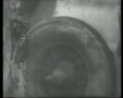 RACING THROUGH TIME | EPISODE 9: THE NURBURGRING: