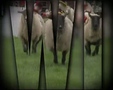 Twisted episode 18