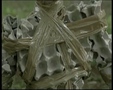 Twisted episode 23