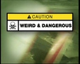 Weird & Dangerous Episode 24