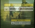 Weird & Dangerous Episode 26