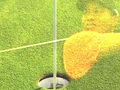 Tiger Woods "Prodigy" (16:9 Version)